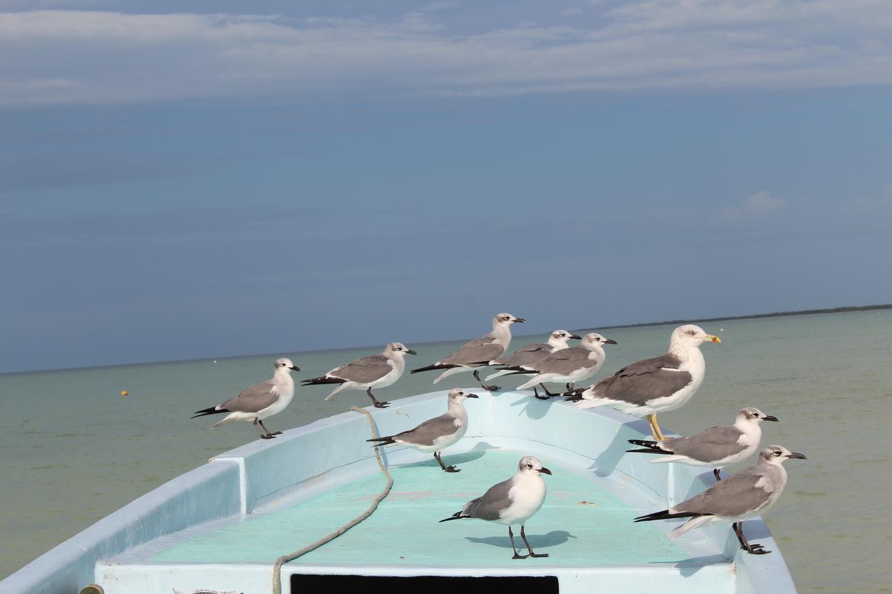 Tierra Mia Boutique Hotel Isla Holbox Exterior foto